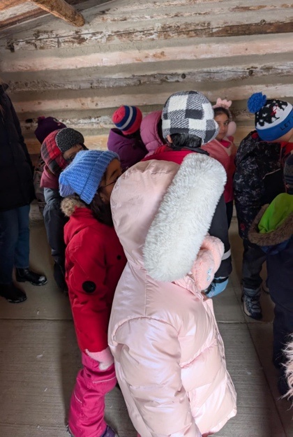 Growing Grade 1 image005 Feb 2025