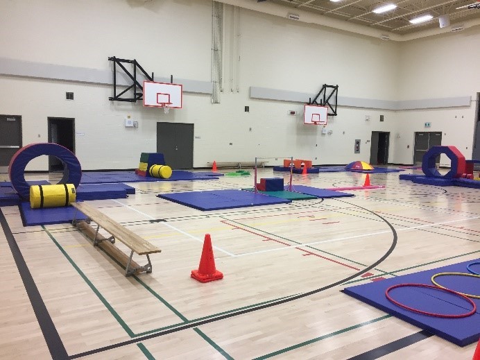 phys ed 2 jan 2025